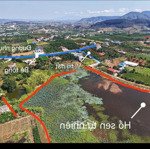 Bán Đất Sổ Riêng Ven Đà Lạt 599 Triệu 80M Thổ Cư View Hồ Sen, Đồi Thông Tại Đông Thông Lâm Hà