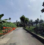 Bán Đất Tại Đỗ Xuân Hợp, Phước Long A , Quận 9 2,25 Tỷ, 100M2, Đường Oto, Cạnh Kdc Sầm Uất.