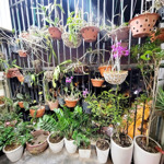 Bán Căn Hộ Chung Cư 3 Phòng Ngủ 2 Vệ Sinh 95M2 Tại Văn Phúc, Hà Đông, Hà Nội Chỉ Với Giá Cực Chất 5,7 Triệu Vnd