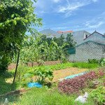 Tìm đâu ra giá 4xtr/m mà trục chính ở sài sơn nữa hả các bác ơi !!!!