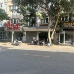 Bán đất tại ngô xuân quảng thị trấn trâu quỳ, gia lâm, hà nội, 15,9 tỷ, 116,7m2