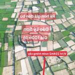 Chào bán lô đất vườn trồng cây 234m2 tại ️Đặc Khu Lý Sơn ️) Giá 100tr/lô (giá rẻ ~ 1/2 sổ với Gias đền bù )