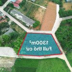 1300M2 Full Thổ Cư. 3 Mặt Tiền. Đất Hòa Thạch - Hòa Lạc
