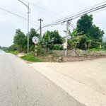 Bán Lô Đất 2 Mặt Đường - Trục Đường Chính Dt310 Xã Ngọc Thanh, Phúc Yên, Vĩnh Phúc