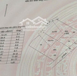 Siêu biệt phủ gỗ bạch dương nga chờ chủ nhân xứng tầm 3.288m² - đối diện flamigo đại lải