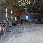 Cho thuê xưởng 1600m2 đường phú mỹ tóc tiên