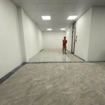 Cho Thuê Nhà Mặt Phố Ngụy Như Kon Tum, 80M X 7 Tầng,Mặt Tiền6M, Mọi Mô Hình Kinh Doanh