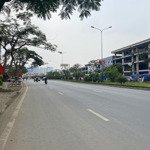 Bán 100m2 đất sổ đỏ thuộc dự án sao đỏ - anh dũng - dương kinh - hải phòng