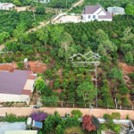 Bán nhà riêng 3pn và vườn xã mê linh, cách đà lạt 6km, giá 1,65 tỷ/429m2 3pn đẹp, lô góc 2mt 11x35m