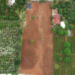 Bán đất mặt tiền nhựa 725, đối diện cà phê mê linh garden