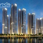 Bán Cc Mini Giảng Võ Mặt Hồ Chung Tâm Complex, 800 Triệu / M2, 85M2, Đống Đa, Hà Nội