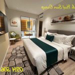 Bán Căn Hộ Chung Cư Studio , 1 Vệ Sinh 32M2 Tại Xanh Island Cát Bà, 2,8 Tỷ