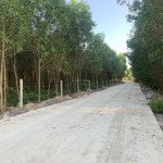 Bán Đất Có Thổ Cư, 2 Mặt Tiền Thôn Phước Sơn, Phước Đồng, Nha Trang
