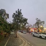 Bán đất thôn đông- tàm xá- đông anh, diện tích 86m2- giá 10.9tỷ, ô tô vào tận đất