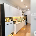 Cho thuê căn hộ cc hoàng dương 83 ngọc hồi, 8 triệu,67m2 , 2 phòng ngủ2vs hàng hot uy tín