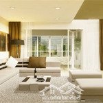 Cho thuê căn hộ chung cư hoa sen, quận 11, 70m2, 2 phòng ngủ 2 vệ sinh, 11 triệu/tháng