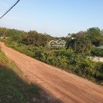 3 lô đất rừng sx cách tp vĩnh yên 3km đường xe tải