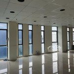 Cho thuê văn phòng tòa nhà mặt tiền đại lộ nguyễn văn linh q7 - giá 8 usd/m2