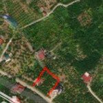 Siêu Phẩm Đầu Tư Giữ Tiền Kd Mặt Đường Liên Phố 94M2 X 5,4M Mặt Tiền Giá Thoả Thuận