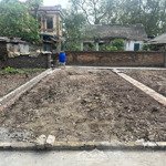 Bán Đất Tại Trưng Trắc, Văn Lâm, Hưng Yên, Giá Bán 2,35 Tỷ, Diện Tích 50M2, Mt4.5M, Lô Góc, Mặt Ngõ