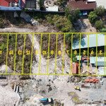 Bán Lô Đất Mặt Tiền Đường S Phú Mỹ: 40M Mặt Tiền 560M² Thổ Cư Giá Chỉ 33 Triệu/M²!