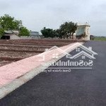 Cần Bán Đất Chính Chủ Tại Biển Giáp Quất Lâm