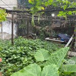 Cc Bán Gấp Lô Đất Vuông Vức 71M2 Đường Nguyễn Duy Trinh, Q.9. Giá Chỉ 3,2 Tỷ