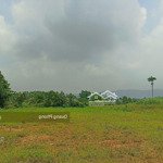 Bán đất đẹp 530m sóc sơn hà nội.
