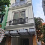 6 Tầng Thang Máy Phân Lô Liền Kề Vị Trí Vàng Kinh Doanh Đỉnh Ngô Thị Nhậm, Hà Đông