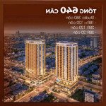 Cần tìm không gian sống tiện nghi, riêng tư, nhưng vẫn đẳng cấp ngay biển đn - sun costa residence
