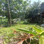 Nghỉ Dưỡng Vân Hoà,Ba Vìdiện Tích329M Xung Quanh Là Quần Thể Nghỉ Dưỡng.giá Chỉ Loanh Quanh 3 Tỷ