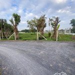 Bán lô đất đường xe tải quy hoạch khu dân cư xin lên thổ cư trực tiếp thích hợp làm nhà vườn, xưởng