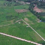 Bán 22 hecta sầu riêng thái giá chỉ 350k/m giáp sông dài, huyện khánh vĩnh, khánh hoà 0788.558.552