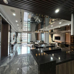 Chính chủ bán căn 133m2 - 8,8 tỷ - hoa hậu của ct8 - emerald - tầng cao - full nội thất, 3pn-2vs.