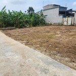 Bán mảnh đất 225mv chính chủ tại đại trang bát trang an lão