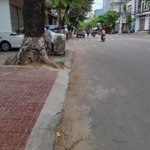 Cho Thuê Nhà Mặt Tiền Trung Tâm Sầm Uất Khu Lê Hồng Phong