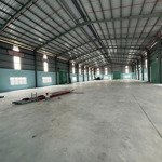 Cho Thuê Xưởng 1800M2 Mới 100% Trong Kcn Hải Sơn, Đức Hoà, Long An