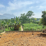 Hàng hiếm - lô đất 2 mặt tiền tại ba trại, ba vì,hà nội bám cánh đồng, view núi, cách tl91 chỉ 400m