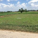 Giảm sâu, cần bán lô đất vườn 500m2, ngay chợ hòa khánh, đường xe ô tô, giá cực tốt 1tỷ250 cả lô