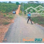 Bán đất tại thửa đất số: 559, tờ bản đồ số: 22, địa chỉ: xã lộc an, huyện bảo lâm, tỉnh lâm đồng