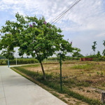 Bán đất khu đô thị điện thắng nam - 113m2 - gần trạm thu phí điện bàn - sẵn sổ đỏ giá chỉ 690 triệu
