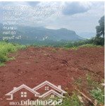 Bán 04 Sào Đất Tại Tân Thượng, Di Linh, Lâm Đồng, Mỗi Xào 1,7 Tỷ, 1000M2 Giá Siêu Hời