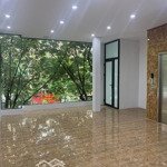 Cho Thuê Nhà Mặt Phố Hoàng Ngân Đoạn Kinh Doanh Sầm Uất Cực Đông Đúc Nhiều Dịch Vụ Giá Thuê 42 Tr
