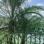 Hot...hot -Mặt Phố Mai Anh Tuấn - 6T Thang Máy - Vừa Ở Vừa Kinh Doanh- View Hồ 44/55T1 . Giá Bán 29 Tỷ