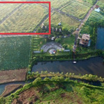 đất nền bảo lâm thổ cư view hồ phường 2, bảo lộc mới cách cao tốc 3km chỉ 8 tr/m2