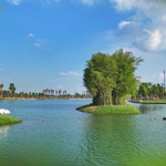 Căn hộ giá từ 1 tỷ đồng hưởng trọn tiện ích 220ha của ecopark với rừng cây và mặt nước