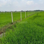 đất vườn giá rẻ trung lập thượng - sổ riêng - gần đường ô tô - bán gấp