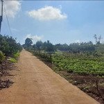Bán đất tại nam hà, lâm hà ven đà lạt 1200m² 100m2 ont 24m mặt tiền, view đồi thông