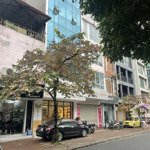 Cho thuê mbkd hot nhất phố hoàn kiếm ! tổngdiện tích130m2 . mặt tiền 5,5m siêu lí tưởng , mọi mô hình .
