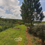Bán Đất View Hồ Đẹp Thích Hợp Nghỉ Dưỡng, Homestay